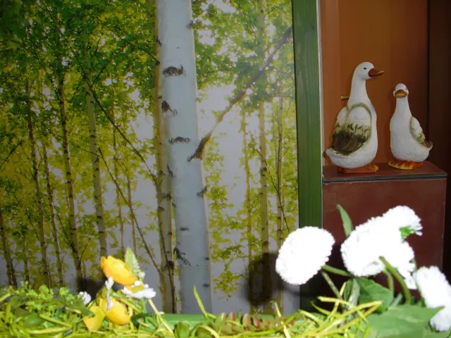 Ferienwohnung Sonnenschein